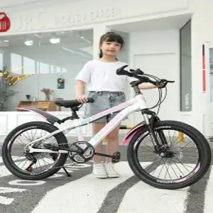 22인치자전거 주니어 초등 저학년 입문용 자전거 22인치