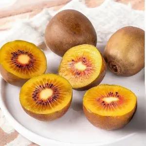 동명 상큼달달 제주 레드키위 루비 초고당도 20brix