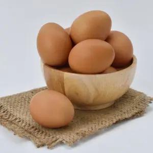 Fresh 무항생제 1+등급란 20구 30구 40구 60구 계란 달걀 택1