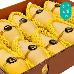 태국 골드망고 대과 2.5kg (9-10입)