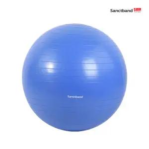 샌트 안티버스트 짐볼 블루베리 75cm 터짐방지 펌프 포함