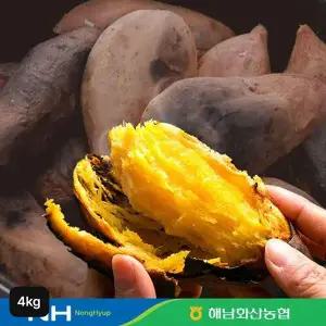 [해남고구마]화산농협 해남 햇 꿀고구마 4kg(특상)[35608952]