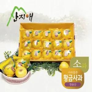 산지애 씻어나온 어린이 황금 꿀사과 2.7kg 1box / 청송산 시나노골드, 당도선별
