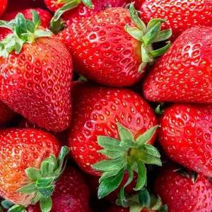 [산해직송] 킹스베리 특 800g / 20-26과