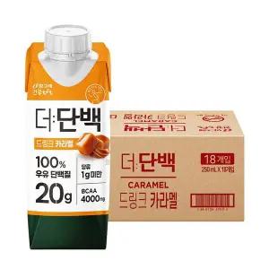 갤러리아 빙그레 더단백 드링크 카라멜 250ml 18팩 / 프로틴음료