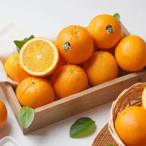 고당도 블랙라벨 오렌지 중과(15과)/2개구매시 33과발송