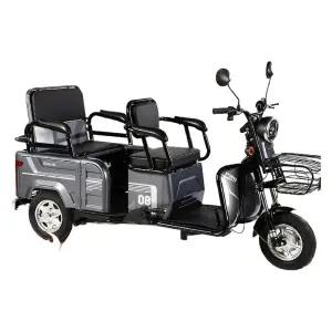다인승 삼륜 오토바이 전동 스쿠터 삼발이 전기 노인 베어카 전동차 전기스쿠터 어르신