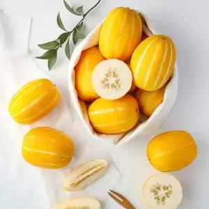 고당도 가정용 성주참외  2kg 랜덤 발송 (4-15과 내외)