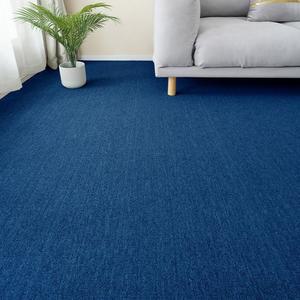 거실용 초대형 가연성 롤매트 파란색 블루 레이어 인테리어 패드 사계절용 카페트
