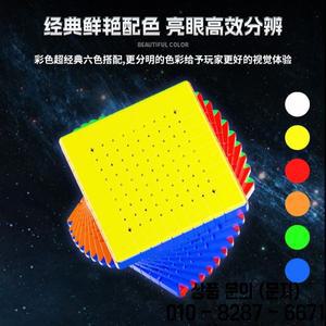 ShengShou 10x10 마그네틱 매직 큐브 스티커없는 전문 퍼즐 장난감 14세 이상 선물 Cubo Magico