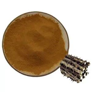 엄나무추출분말 Z0Y4Y1D8 100g 샘플