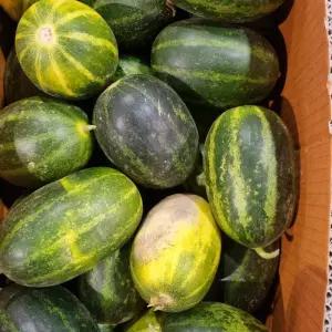 고당도 파파야메론 가정용 못난이 개구리 참외 3kg(혼합과)