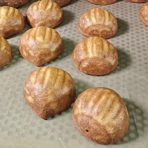 겉바속쫀 상하이 버터떡 40g 5개-어린이 건강 바삭하고 쫀득한 인기많은 간식