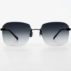 티타늄 굿윌 1003 무테선글라스 다리-티타늄 펑키라이언