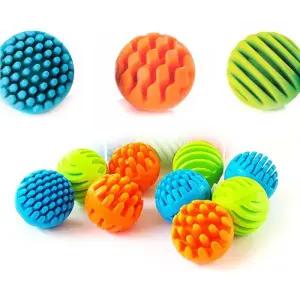 펫브레인토이 센소리룰러 세트 (9PCS)