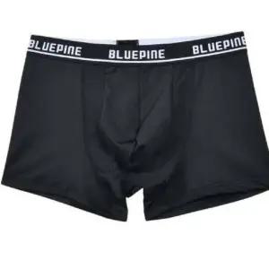 네모팬티 바디프로필 팬티 드로즈팬티 (3매입) ZF 남성