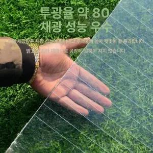 렉산 롤 창고 지붕 테라스 시트 캐노피 판넬 비가림