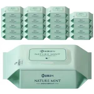 알뜰공식 네이처 민트 물티슈 캡형 100매 20개 형티슈 보습 깨끗한 멀티 가정용 고급 리필 엠보싱 두꺼운