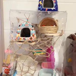 슈가글라이더 사육장 피그미다람쥐 아크릴 놀이터