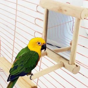 앵무새 Budgie Cockatiels Conure 핀치 Lovebird 카나리아 잉꼬 아마존 앵무새를위한 농어 스탠드가있는 새