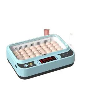 병아리 달걀 부화기 메추리 닭 오리 계란 유정란 조류