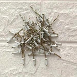 50피스 흰색 페인트 블라인드 리벳 라운드 헤드  알루미늄 강스틸 홈 장식 산업용 패스너 DIA1/8