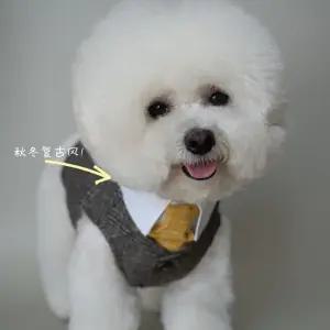 유럽 강아지 정장 셔츠 수트 강아지턱시도 턱시도 애완견