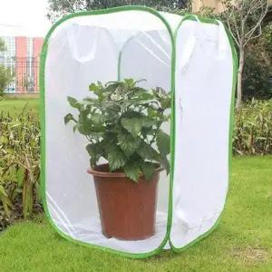 [에이치플러스몰]접이식 키우기 케이지 사육 곤충 채집통 나비 망사 사육장