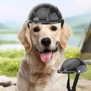 강아지 모자 헬멧 반려동물 머리보호 드라이브 외출 안전모