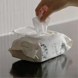 [NS홈쇼핑]담이연 무자극 프리미엄 물티슈 70매 5개[35797337]