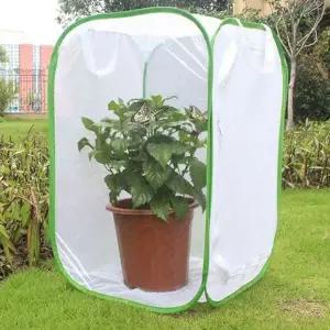 접이식 키우기 케이지 사육 곤충 채집통 나비 망사 사육장