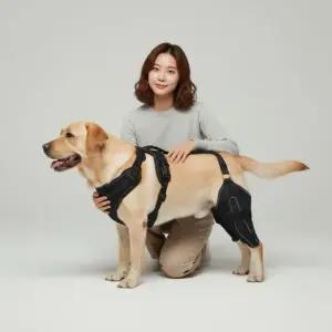 노견 강아지 뒷다리 보조기 하체 지지대 산책용 서포트