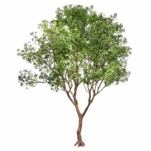 인조 나무 조화나무 대형 카페 자작나무 인테리어 조경 조화