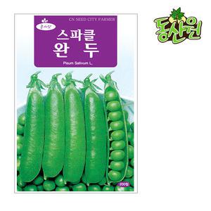 스파클완두콩씨앗 200립 완두종자 텃밭채소씨앗