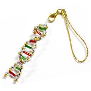 스쿨엔/비즈DNA모형만들기/10인세트/38519