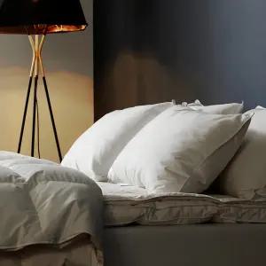 바운티풀 [1+1]호텔베개 구스 페더 50x70 높이별 2종