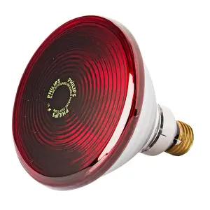 필립스 적외선 램프 150W 원적외선 의료용 물리치료기 전구