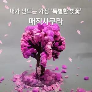 매직 사쿠라 요술 벚꽃나무 인테리어 소품