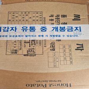 정품 강원도 씨감자 F1종 두백 1kg