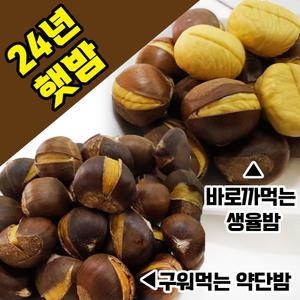 24년 명품 햇약단밤,생율,혼합 구성1kg+1kg