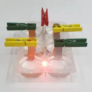 볼타전지(감극제 분극현상) 1인용