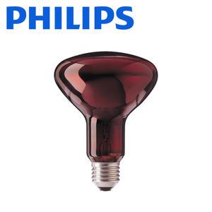 필립스 적외선 램프 100w 의료 치료용 램프 근적외선 열전구 양계 양돈 축사 보온 INDRARED R95E