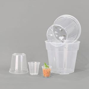 마이플랜트 턱진 원형 투명 슬릿화분 플라스틱 삽목 화분