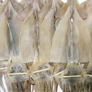 마른오징어 특대10마리 1kg 건조오징어