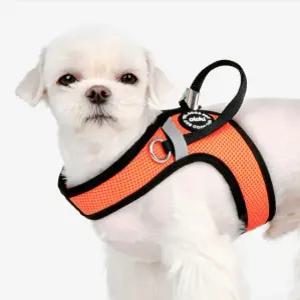 퍼피아 올치 콤비 강아지 하네스 V 스트링 가슴줄 HV6049