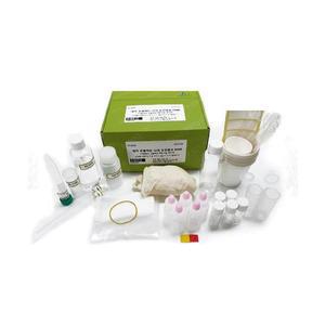 DNA추출키트(식물/동물DNA 직접 추출해보기)[5인용]