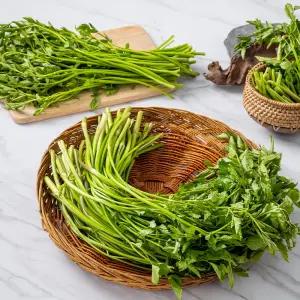 당일수확! 국내산 미나리 1kg / 2kg /GM