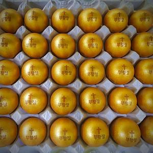 [부활절 각인] 구운계란 30구 (황금란  참숯흑란 선택구매) 한글ver /  구운란 맥반석계란 골드에그 부활절 각인