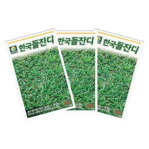 한국들잔디 10g  3개 한평용 들잔디 씨 씨앗 종자  묘지용 산소용 다농