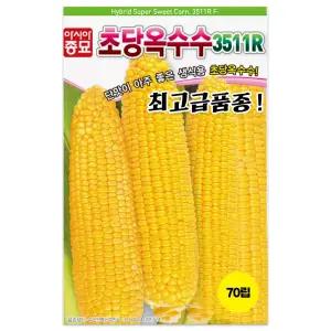 산들마켓 초당옥수수 씨앗 70립 생식용 초당 옥수수씨 종자 고급품종